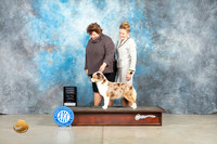 Miniature American Shepherd #8 Thur PG3 Judge Sherry Patton