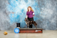 Mudi #5 Thur OHG1 Judge Judith Brown