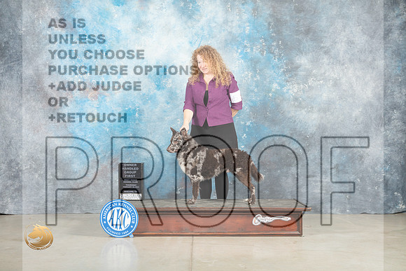 Mudi #5 Thur OHG1 Judge Judith Brown_MJ_0605_Midland2023_HR3