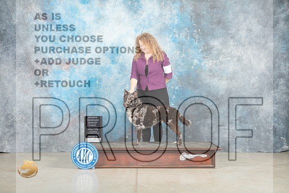 Mudi #5 Thur OHG1 Judge Judith Brown_MJ_0607_Midland2023_HR3