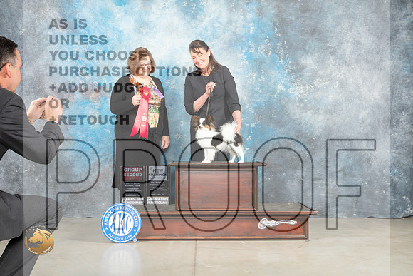 Papillon #16 Thur G2Ch Judge Elizabeth Muthard _MJ_0555_Midland2023_HR3