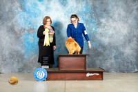 Pomeranian #19 Thur G3 Judge Elizabeth Muthard