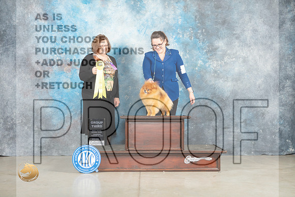Pomeranian #19 Thur G3 Judge Elizabeth Muthard _MJ_0545_Midland2023_HR3