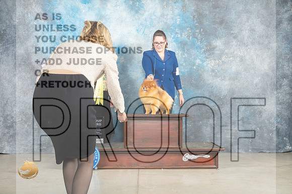 Pomeranian #19 Thur G3 Judge Elizabeth Muthard _MJ_0547_Midland2023_HR3