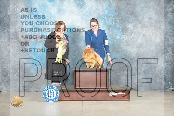 Pomeranian #19 Thur G3 Judge Elizabeth Muthard _MJ_0548_Midland2023_HR3