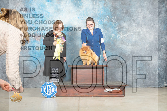 Pomeranian #19 Thur G3 Judge Elizabeth Muthard _MJ_0549_Midland2023_HR3