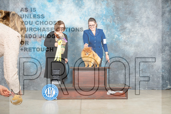 Pomeranian #19 Thur G3 Judge Elizabeth Muthard _MJ_0550_Midland2023_HR3
