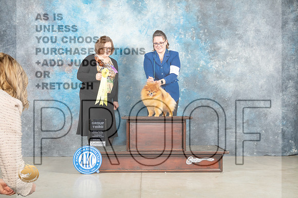 Pomeranian #19 Thur G3 Judge Elizabeth Muthard _MJ_0551_Midland2023_HR3