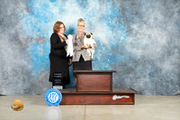 Pug #6 Thur G4 Judge Elizabeth Muthard