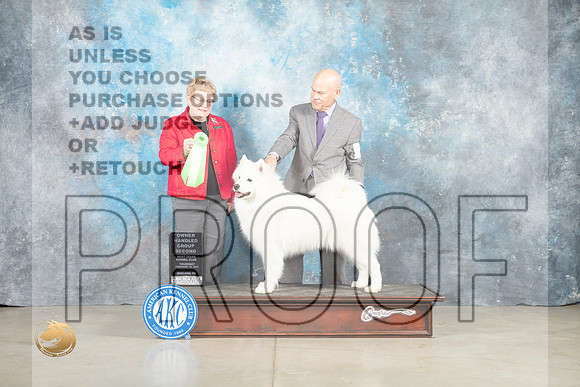Samoyed #14 Thur OHG2 Judge Judith Brown_MJ_0599_Midland2023_HR3