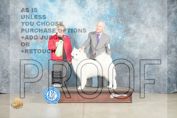 Samoyed #14 Thur OHG2 Judge Judith Brown_MJ_0602_Midland2023_HR3