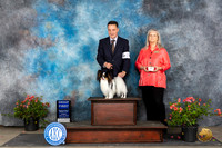 Papillon #23 Sun G1 Judge Polly Smith