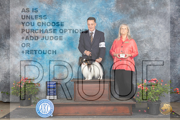 Papillon #23 Sun G1 Judge Polly Smith__JP_6421_San Antonio_2024_HR3