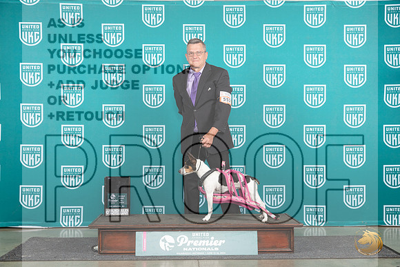 Rat Terrier #553 Fri WP Judge Valerie Piltz__JP_1593_Premier_2024_HR3