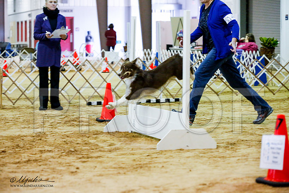 _JJ_4175-ASCACollegeStationNov2014-HR3