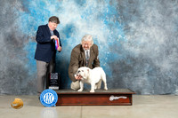 Bulldog #9 Fri BOWWD Judge Charles Olvis