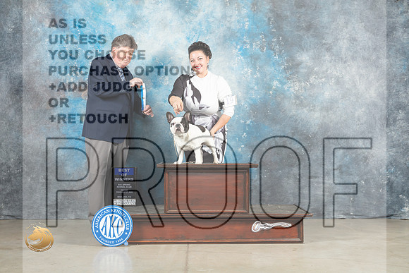 French Bulldog #19 Fri #17 BOW Judge Charles Olvis_MJ_0706_Midland2023_HR3