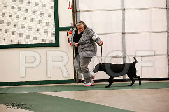 _JN_0919-NrmnNov2014-HR3