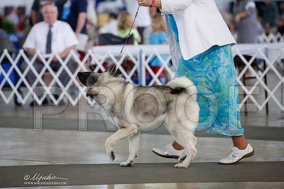 _JJ_5140-DallasJul2014-HR3