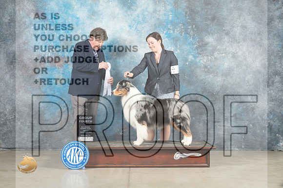 Australian Shepherd #17 Fri G4 Judge Charles Olvis_MJ_1026_Midland2023_HR3