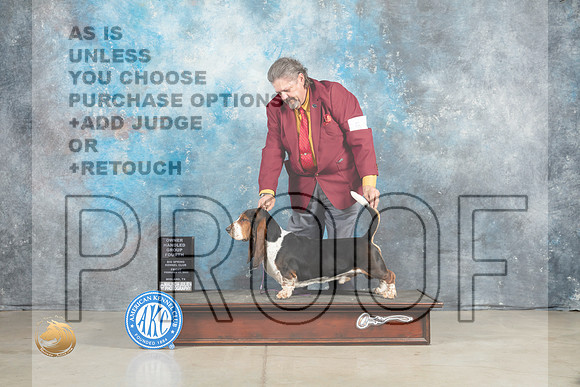 Basset Hound #5 Fri OHG4 Judge Elizardo Valadez_MJ_0959_Midland2023_HR3