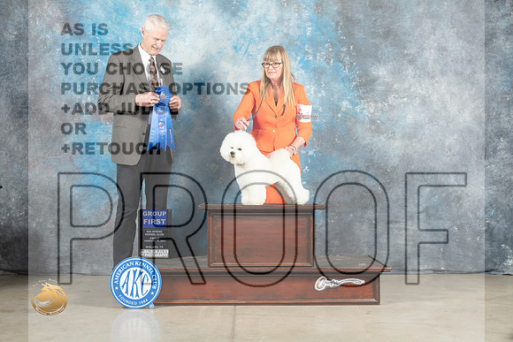 Bichon Frise #15 Fri G1 Judge Jon Cole_MJ_0883_Midland2023_HR3
