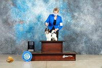 Biewer Terrier #9 Fri BOBBOWM Judge Judith Brown