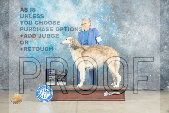 Borzoi #7 Fri WDMBBECh Judge Jon Cole_MJ_0868_Midland2023_HR3
