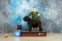 Bouvier #5 Fri BOBWD Judge Judith Brown