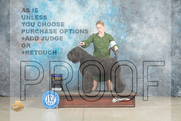 Bouvier #5 Fri BOBWD Judge Judith Brown_MJ_1154_Midland2023_HR3