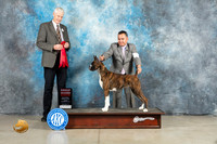Boxer #10 Fri G2 Judge Jon Cole