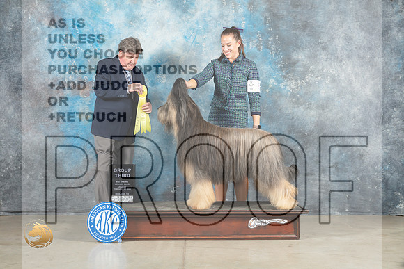 Briard #5 Fri G3 Judge Charles Olvis_MJ_1022_Midland2023_HR3