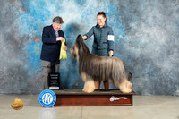 Briard #5 Fri G3 Judge Charles Olvis