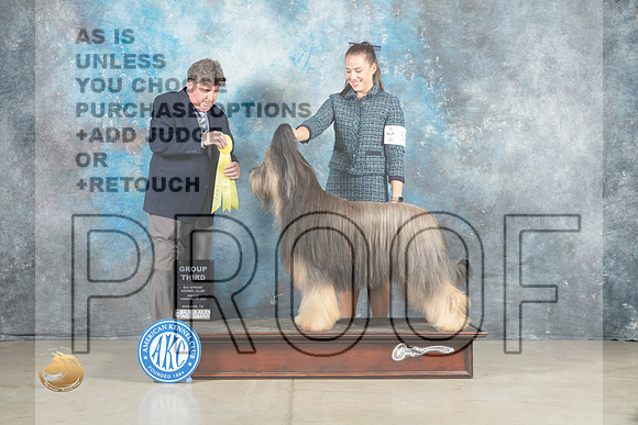Briard #5 Fri G3 Judge Charles Olvis_MJ_1021_Midland2023_HR3