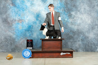 Cardigan Welsh Corgi #18 Fri BOS Judge Elizardo Valadez