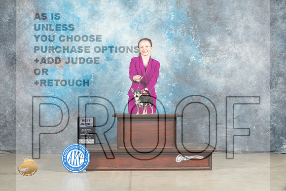 Chihuahua Smooth #J950 BJr Judge Donna O'Connell_MJ_0849_Midland2023_HR3