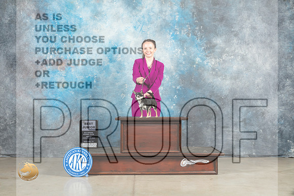 Chihuahua Smooth #J950 BJr Judge Donna O'Connell_MJ_0852_Midland2023_HR3