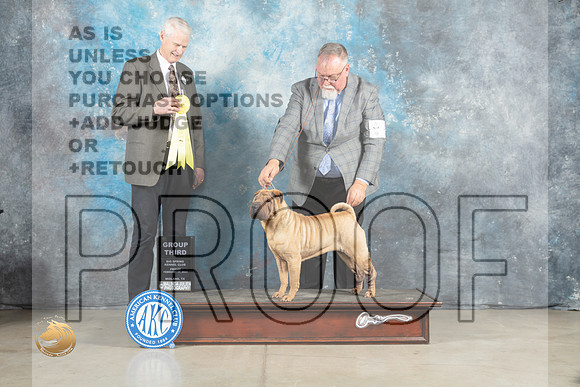 Chinese Shar Pei #6 Fri G3 Judge Jon Cole_MJ_0887_Midland2023_HR3