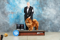 Chow #5 Fri BOBOHBOBGCh Judge Charles Olvis