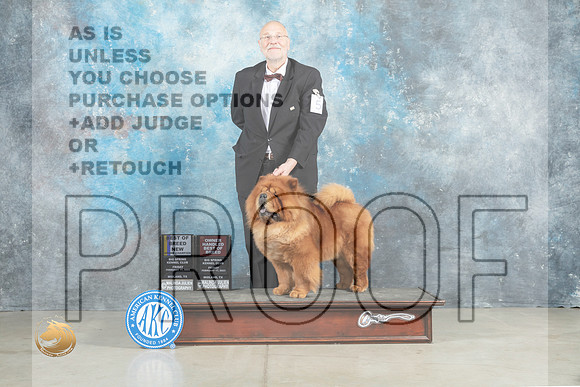Chow #5 Fri BOBOHBOBGCh Judge Charles Olvis_MJ_0800_Midland2023_HR3
