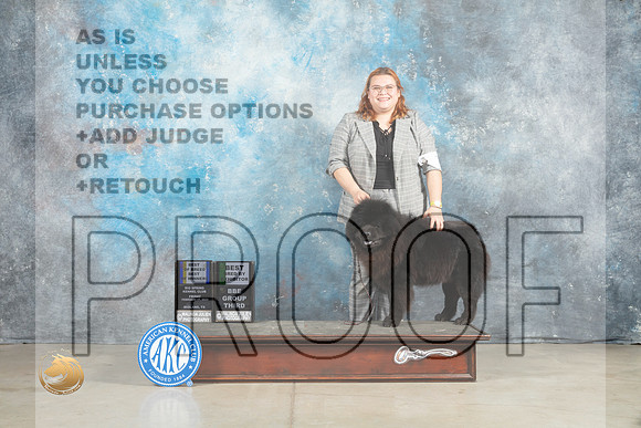 Chow #7 BOWBBE Judge Olvis BBG3 Judge Patton_MJ_0949_Midland2023_HR3