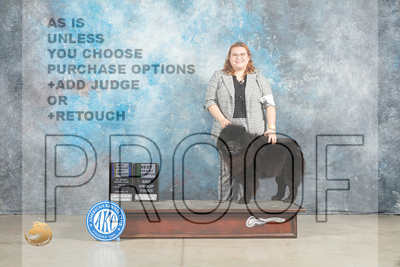 Chow #7 BOWBBE Judge Olvis BBG3 Judge Patton_MJ_0950_Midland2023_HR3