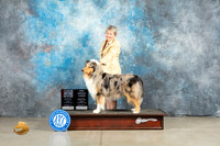 Collie Rough #6 Fri BOSWB Judge Elizardo Valadez BBEG3 Patton