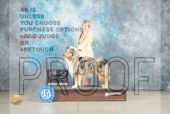 Collie Rough #6 Fri BOSWB Judge Elizardo Valadez BBEG3 Patton_MJ_1050_Midland2023_HR3