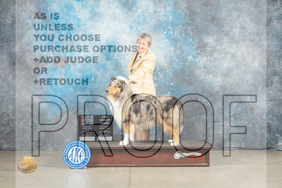Collie Rough #6 Fri BOSWB Judge Elizardo Valadez BBEG3 Patton_MJ_1052_Midland2023_HR3