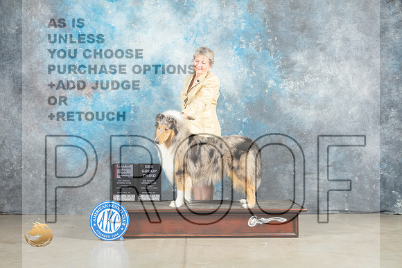 Collie Rough #6 Fri BOSWB Judge Elizardo Valadez BBEG3 Patton_MJ_1053_Midland2023_HR3