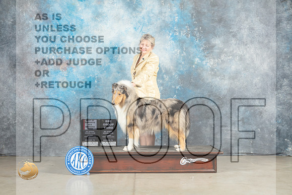 Collie Rough #6 Fri BOSWB Judge Elizardo Valadez BBEG3 Patton_MJ_1054_Midland2023_HR3