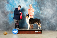 Collie Smooth #5 Fri G2 Judge Charles Olvis