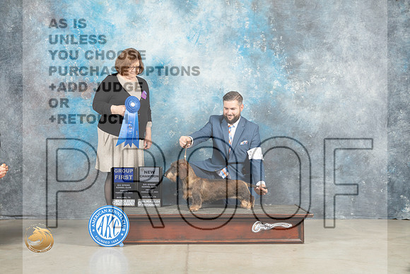 Dachshund Wirehaired #18 Fri G1Ch Judge Elizabeth Muthard_MJ_0980_Midland2023_HR3