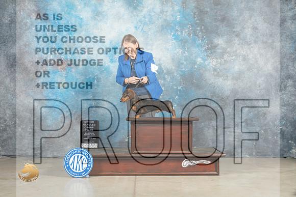 Dachshund Wirehaired #9 Fri OHG3 Judge Elizardo Valadez_MJ_0986_Midland2023_HR3